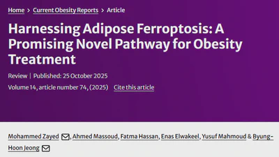 Harnessing Adipose Ferroptosis: A Promising Novel Pathway for Obesity Treatment featured image