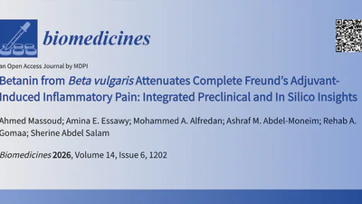 Betanin from 𝘉𝘦𝘵𝘢 𝘷𝘶𝘭𝘨𝘢𝘳𝘪𝘴 Attenuates Complete Freund’s Adjuvant-Induced Inflammatory Pain: Integrated Preclinical and In Silico Insights featured image