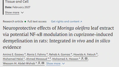 Neuroprotective effects of Moringa oleifera leaf extract via potential NF-κB modulation in cuprizone-induced demyelination in rats: Integrated in vivo and in silico evidence featured image